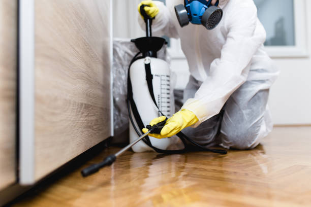Best Cockroach Control Services  in Woodward, OK