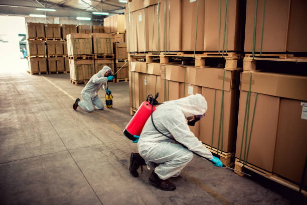 Best Affordable Pest Control Services  in Woodward, OK