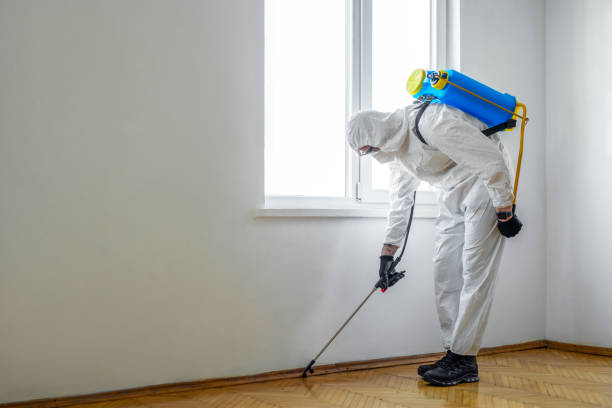 Best Pest Control Treatment  in Woodward, OK