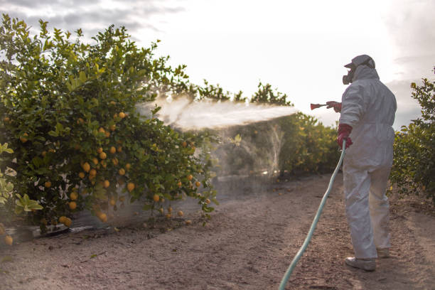 Best Commercial Pest Control Services  in Woodward, OK