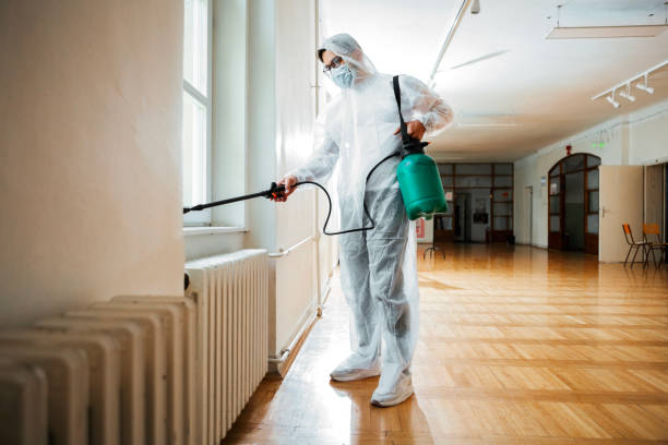 Best Flea Control Services  in Woodward, OK