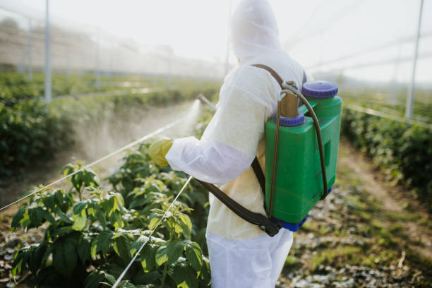 Best Best Pest Control Near Me  in Woodward, OK